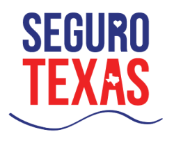 Seguro Texas شعار