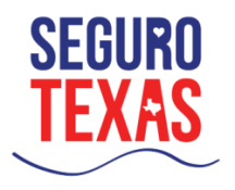 Seguro Texas شعار